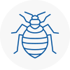 Bed Bug Extermination In Horsham