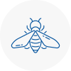 Bee Nest Removal Horsham
