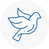Bird Prevention Horsham