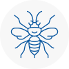 Horsham Hornet Nest Removals