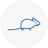 Mice Exterminators In Horsham