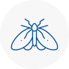 Moth Control Specialists In Horsham