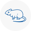 Rat Control Horsham