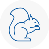 Horsham Rodent Removals