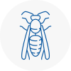Horsham Wasp Nest Removal